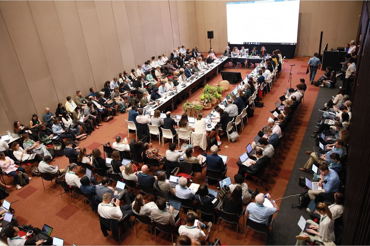 ContactGroup_COP16_DSI